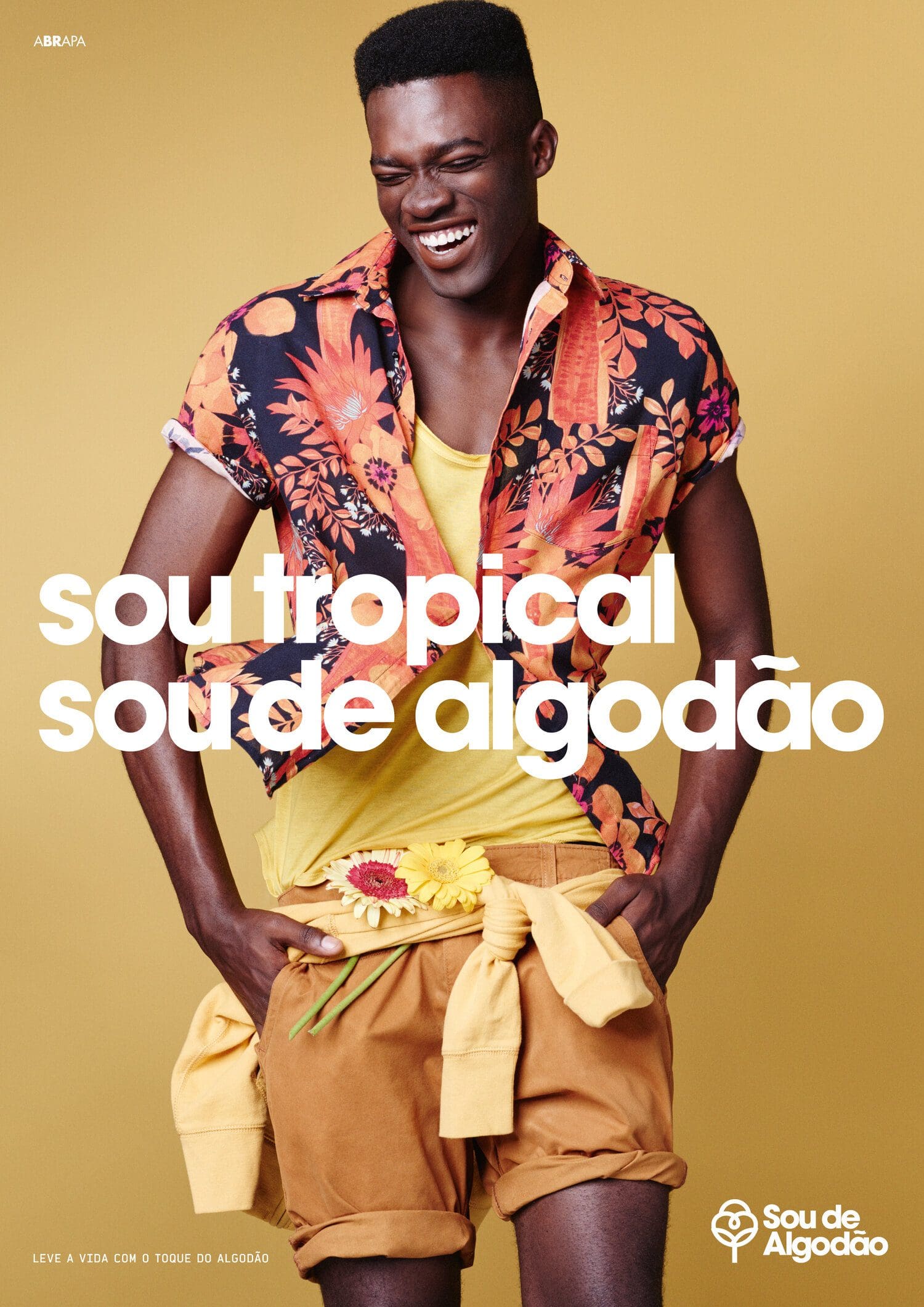 SoudeAlgodao2